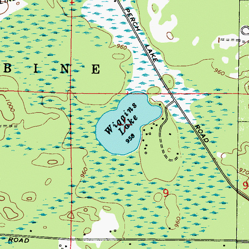Topographic Map of Wiggins Lake, WI