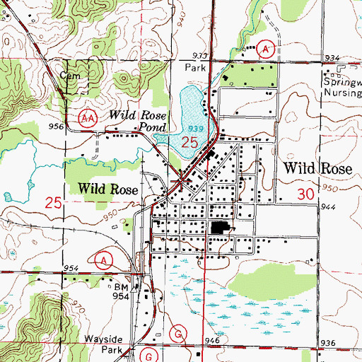 Topographic Map of Wild Rose, WI