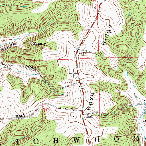Topographic Map of Wild Rose Ridge, WI