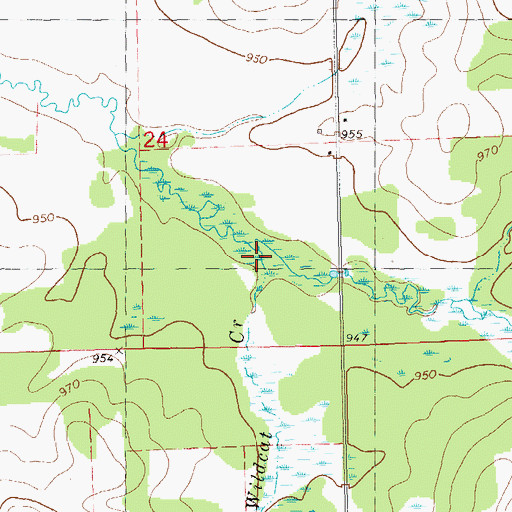 Topographic Map of Wildcat Creek, WI
