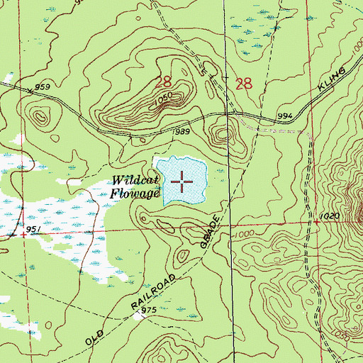 Topographic Map of Wildcat Flowage, WI