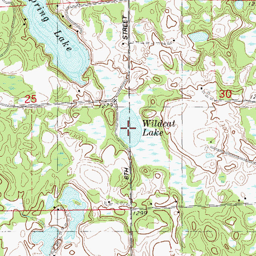 Topographic Map of Wildcat Lake, WI