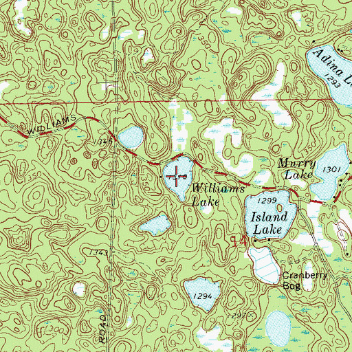 Topographic Map of Williams Lake, WI