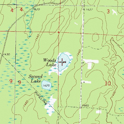 Topographic Map of Woods Lake, WI