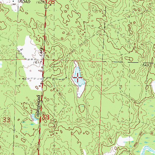 Topographic Map of Lyle Lake, WI