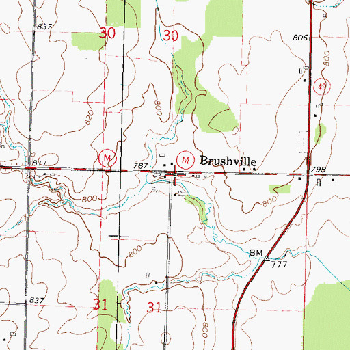 Topographic Map of Brushville, WI