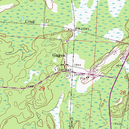 Topographic Map of Gagen, WI