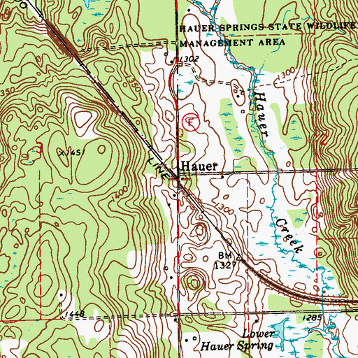 Topographic Map of Hauer, WI