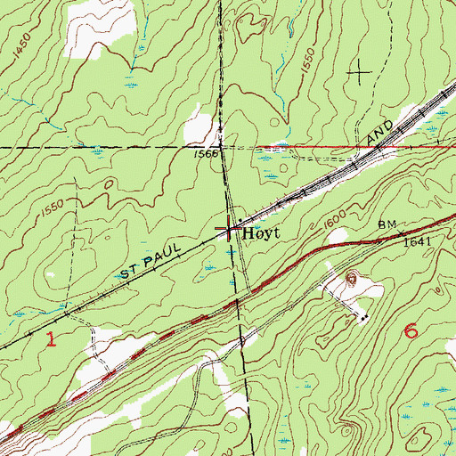 Topographic Map of Hoyt, WI