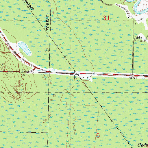 Topographic Map of McNaughton, WI