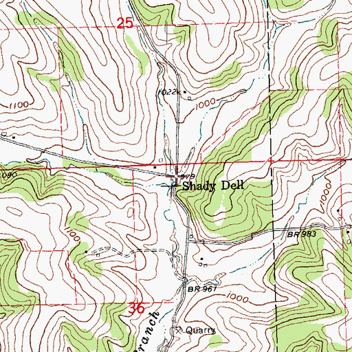 Topographic Map of Shady Dell, WI