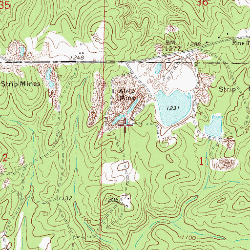Topographic Map of Silver Leaf Prospect, AL