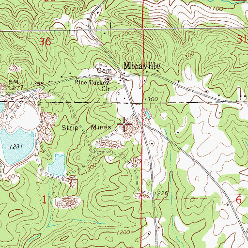 Topographic Map of York Prospect, AL