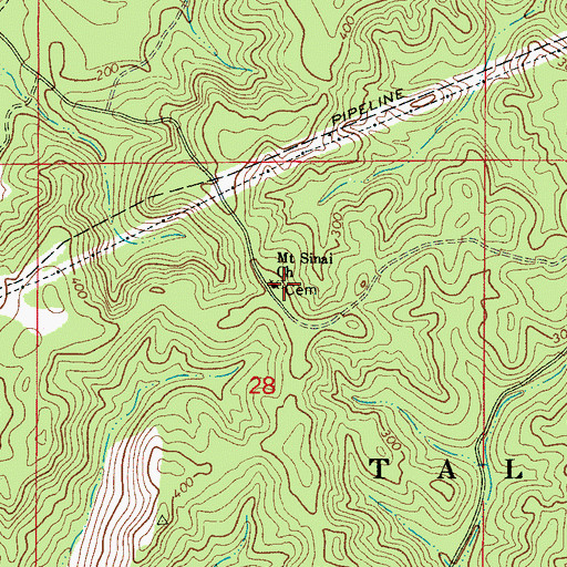 Topographic Map of Mount Sinai Cemetery, AL