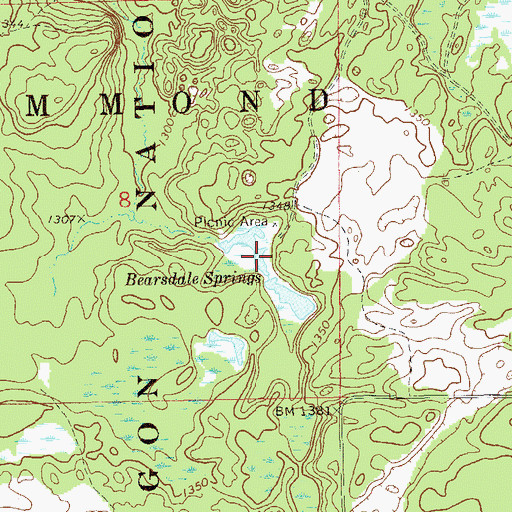 Topographic Map of Bearsdale Springs, WI