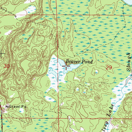 Topographic Map of Beaver Pond, WI