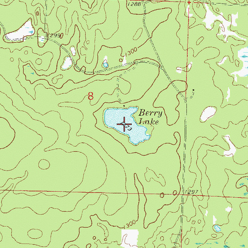 Topographic Map of Berry Lake, WI