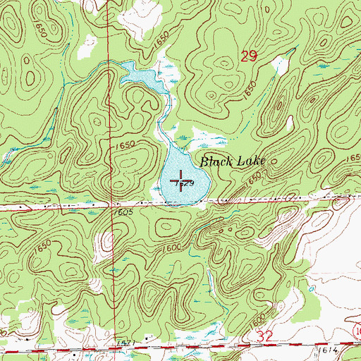 Topographic Map of Black Lake, WI