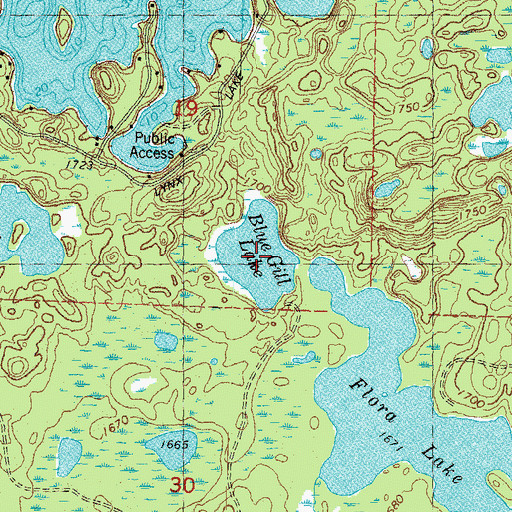 Topographic Map of Blue Gill Lake, WI