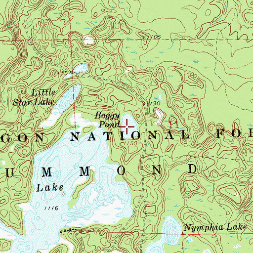 Topographic Map of Boggy Pond, WI