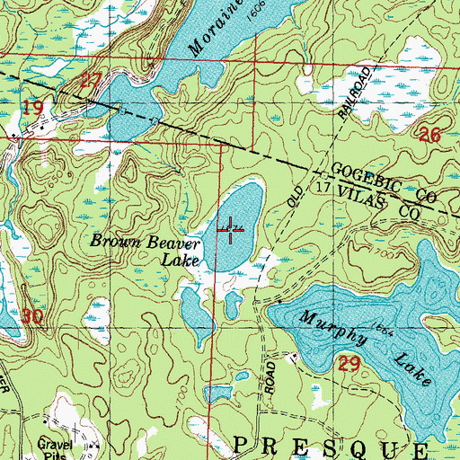 Topographic Map of Brown Beaver Lake, WI