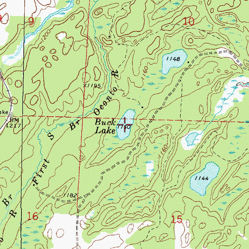 Topographic Map of Buck Lake, WI