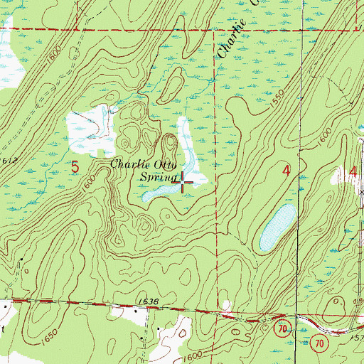 Topographic Map of Charlie Otto Spring, WI