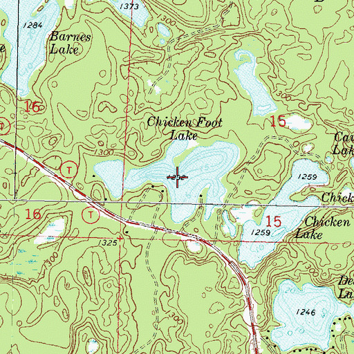 Topographic Map of Chicken Foot Lake, WI