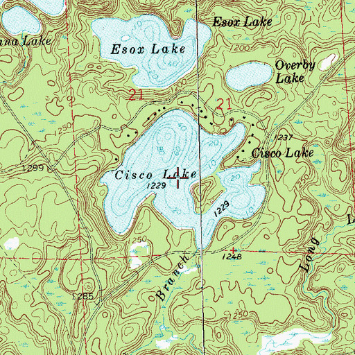 Topographic Map of Cisco Lake, WI