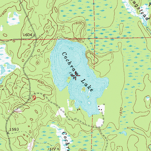 Topographic Map of Cochran Lake, WI