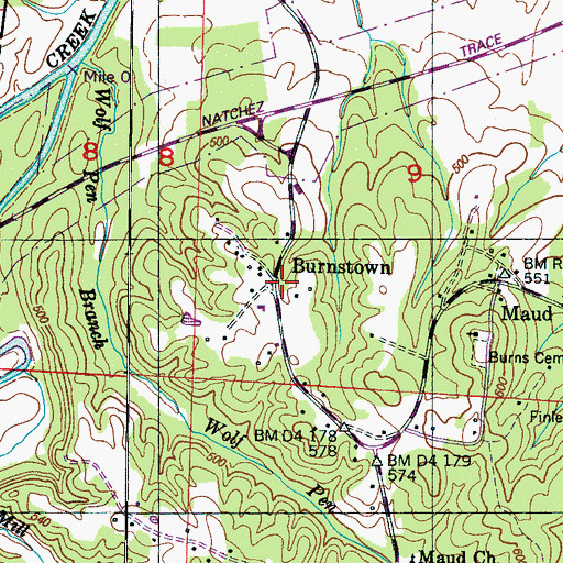 Topographic Map of Burnstown, AL
