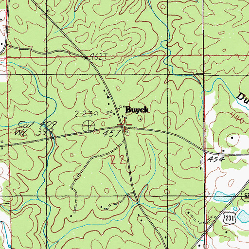 Topographic Map of Buyck, AL