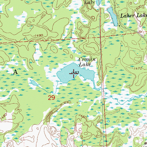Topographic Map of Cronin Lake, WI