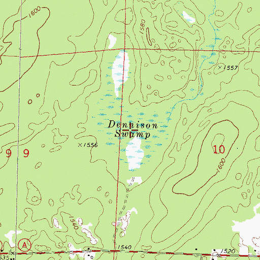 Topographic Map of Dennison Swamp, WI
