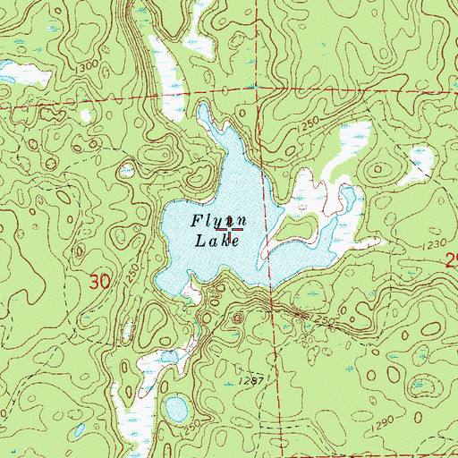 Topographic Map of Flynn Lake, WI