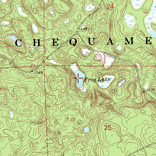 Topographic Map of Frog Lake, WI