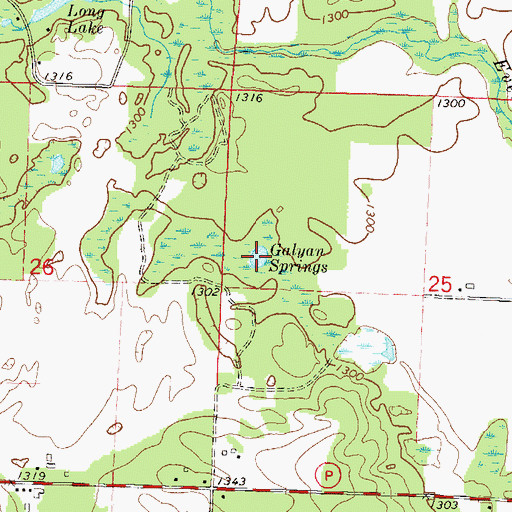 Topographic Map of Galyan Springs, WI