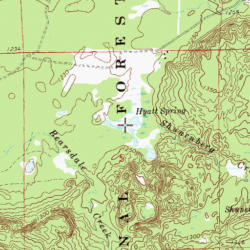 Topographic Map of Hyatt Spring, WI