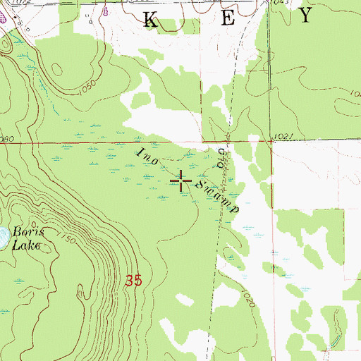 Topographic Map of Ino Swamp, WI