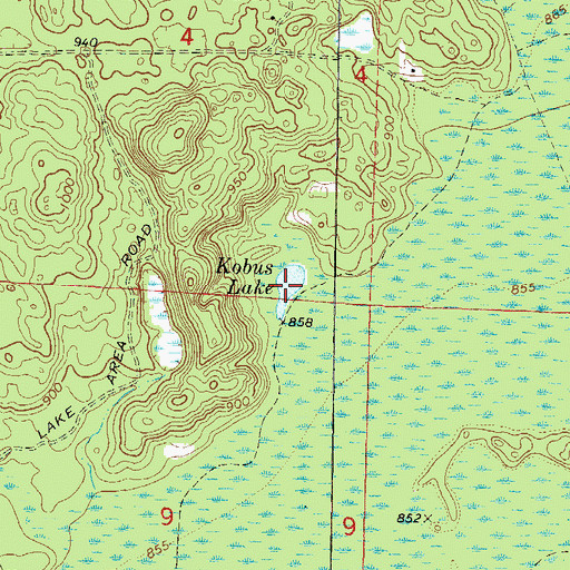 Topographic Map of Kobus Lake, WI