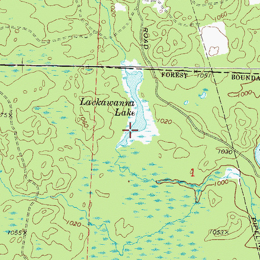 Topographic Map of Lackawanna Lake, WI