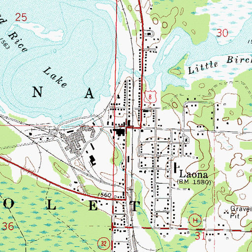 Topographic Map of Laona, WI