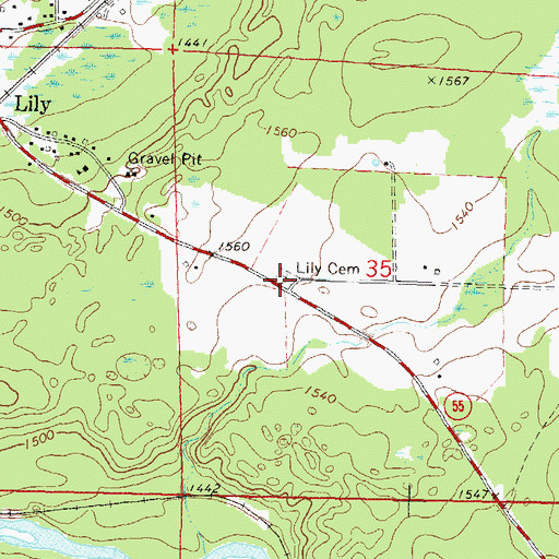 Topographic Map of Lily Cemetery, WI