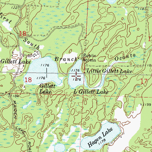 Topographic Map of Little Gillett Lake, WI