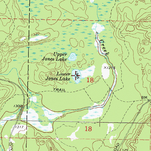 Topographic Map of Lower Jones Lake, WI