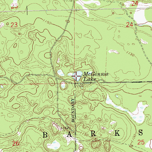 Topographic Map of McGinnis Lake, WI