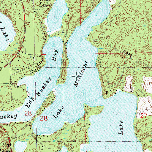Topographic Map of Lake Millicent, WI