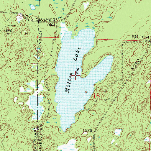 Topographic Map of Mitten Lake, WI