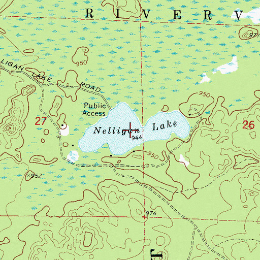 Topographic Map of Nelligan Lake, WI