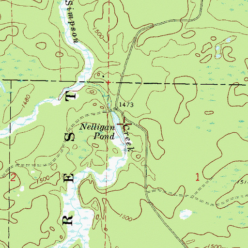 Topographic Map of Nelligan Pond, WI